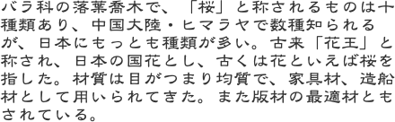 バラ科の落葉喬木で、「桜」と称されるものは十種類あり、中国大陸・ヒマラヤで数種知られるが、日本にもっとも種類が多い。古来「花王」と称され、日本の国花とし、古く