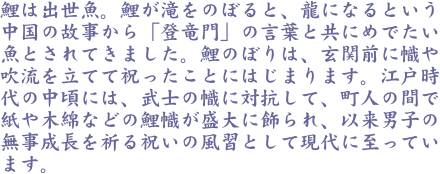 鯉は出世魚。鯉が滝をのぼると、龍になるという中国の故事から「登竜門」の言葉と共にめでたい魚とされてきました。鯉のぼりは、玄関前に幟や吹流を立てて祝ったことには